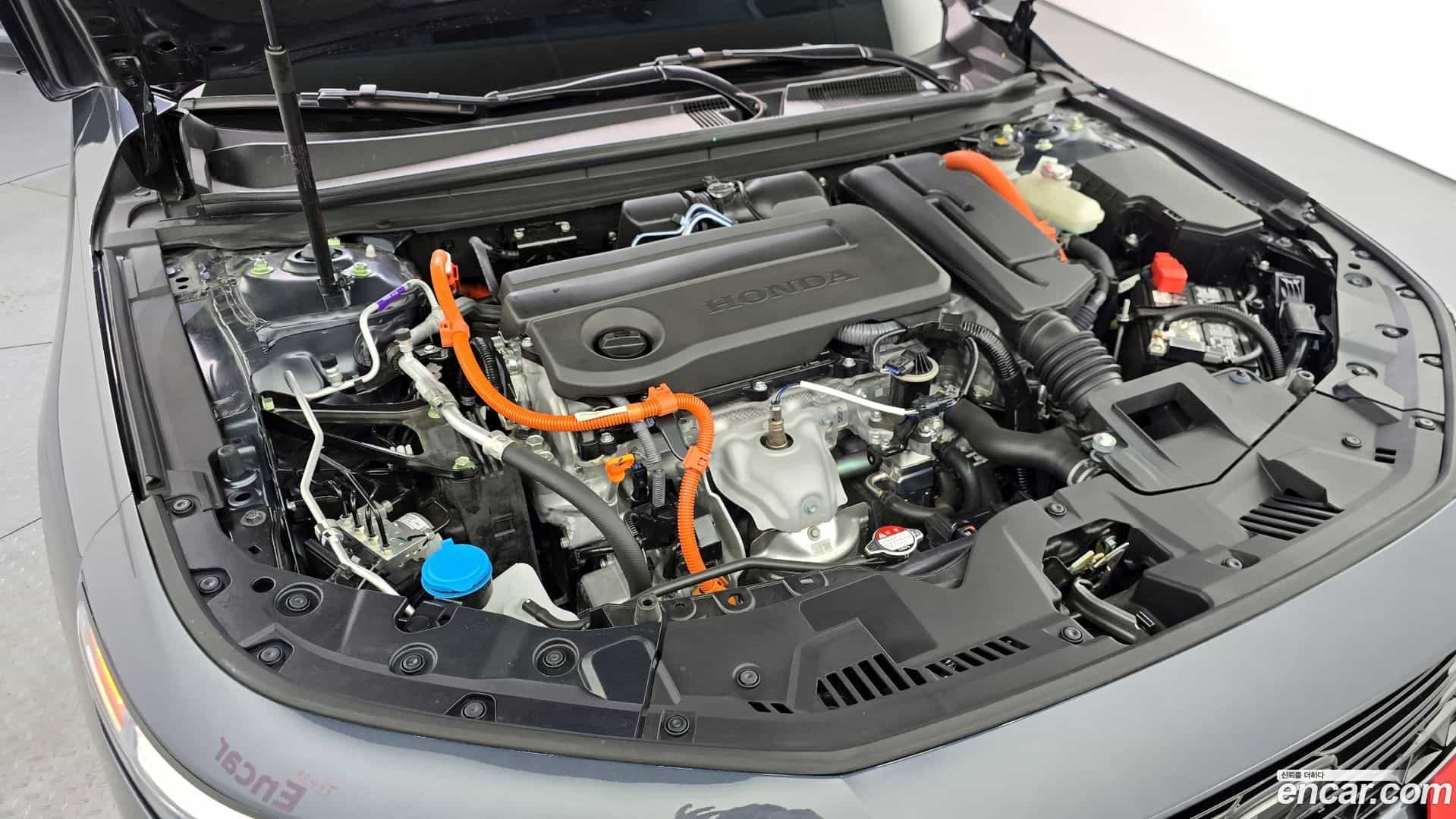 Accord Honda 2024.8-OUTER-006