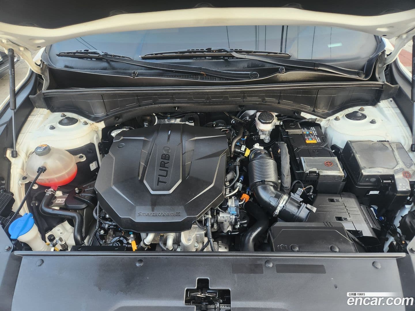 Main__Slider__Photo:Sorento Kia 2022.9-19