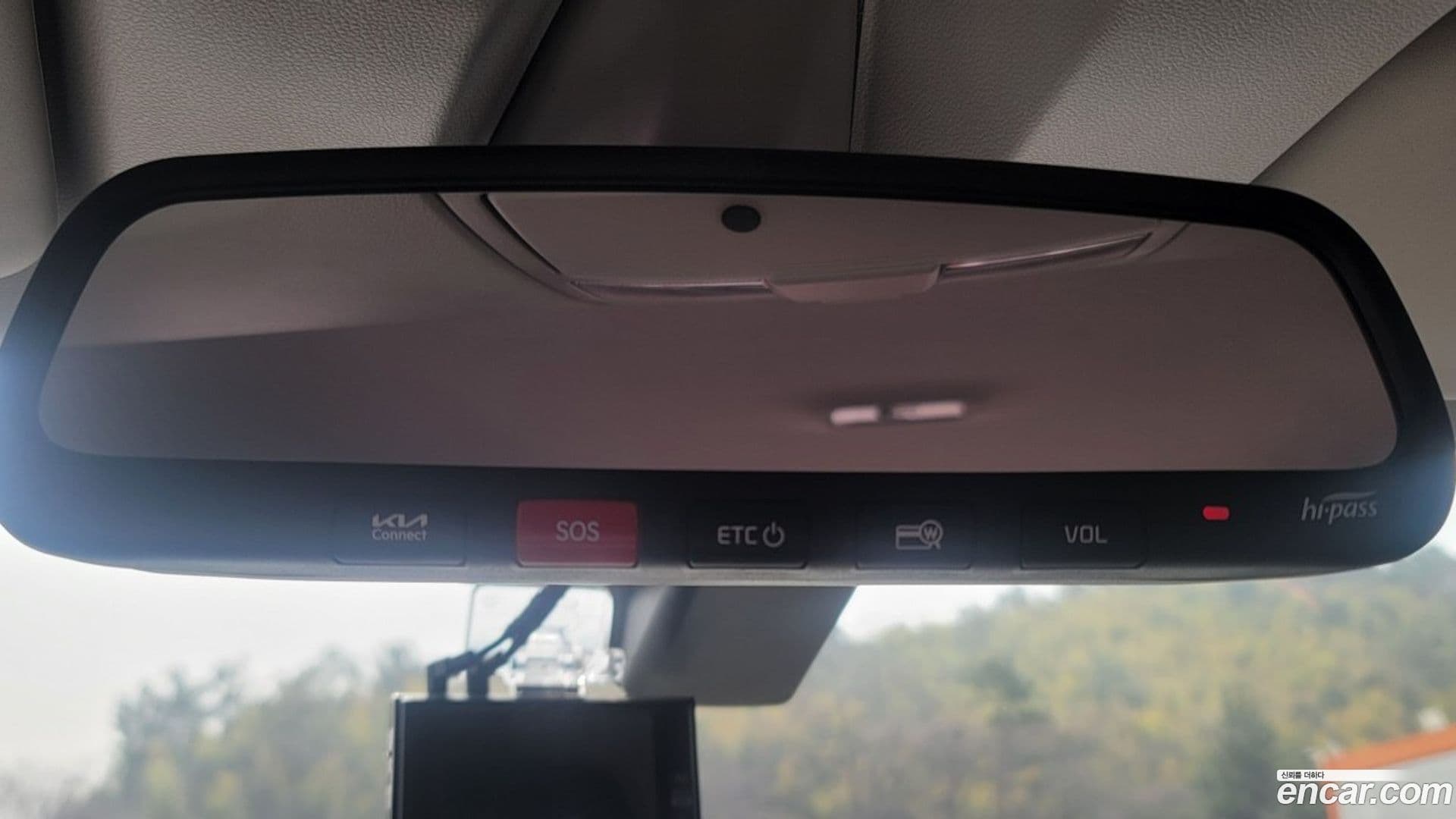 Main__Slider__Photo:RAY Kia 2021.9-16