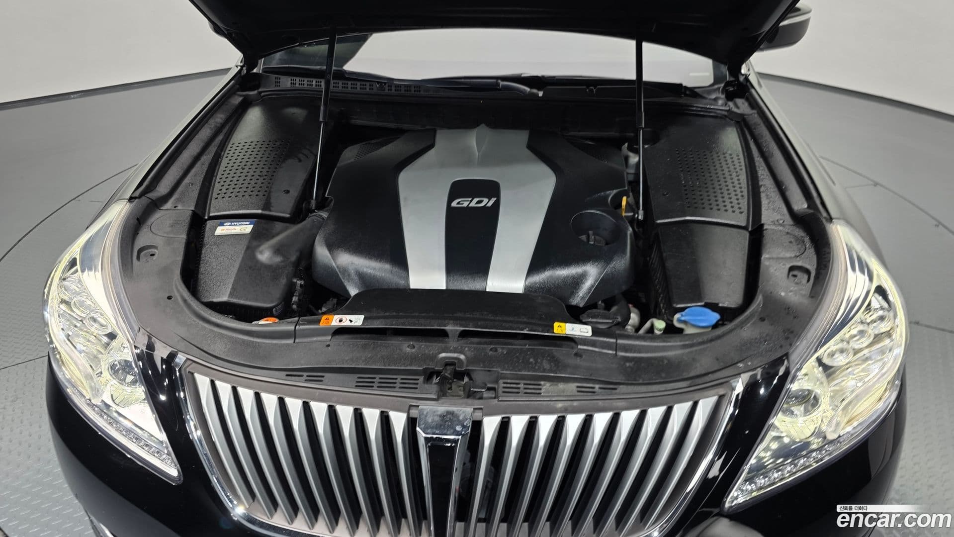 Main__Slider__Photo:Equus Hyundai 2015.1-5