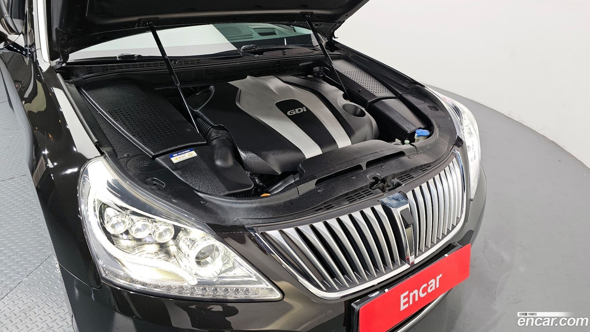 Main__Slider__Photo:Equus Hyundai 2012.11-5