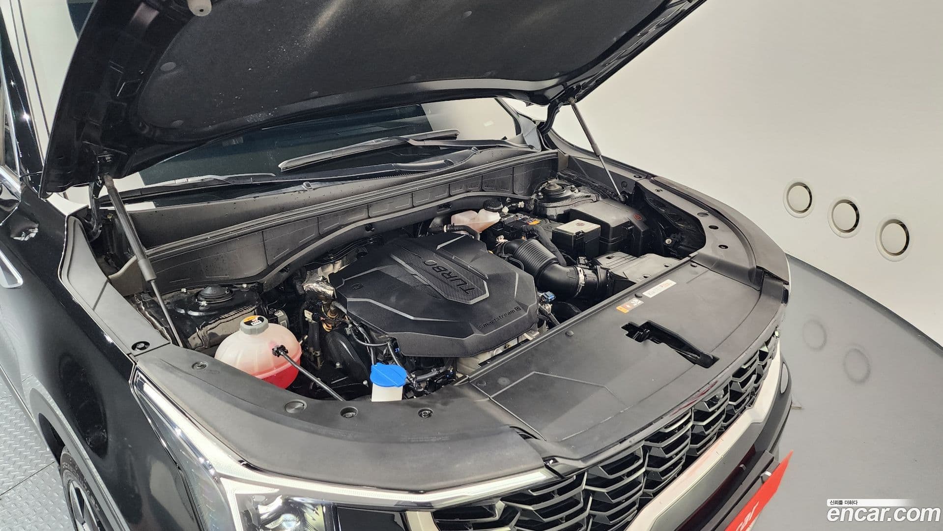 Main__Slider__Photo:Sorento Kia 2024.1-5