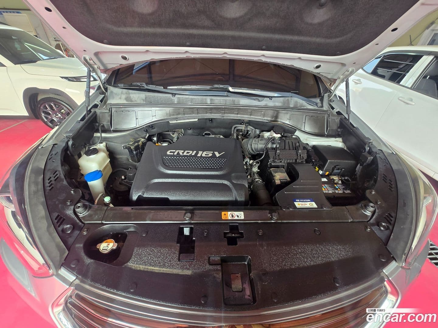 Main__Slider__Photo:Maxcruz Hyundai 2017.7-5