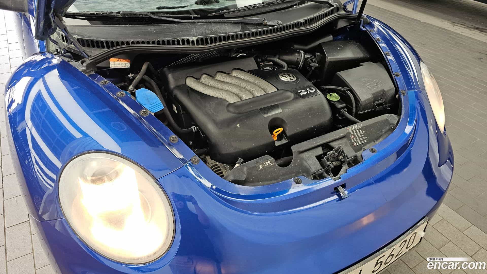 Beatle Volkswagen 2007.11-INNER-006