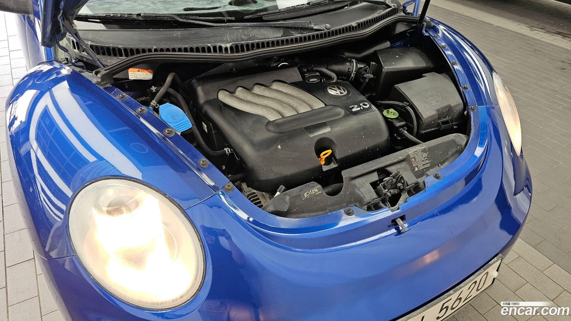 Main__Slider__Photo:Beatle Volkswagen 2007.11-5