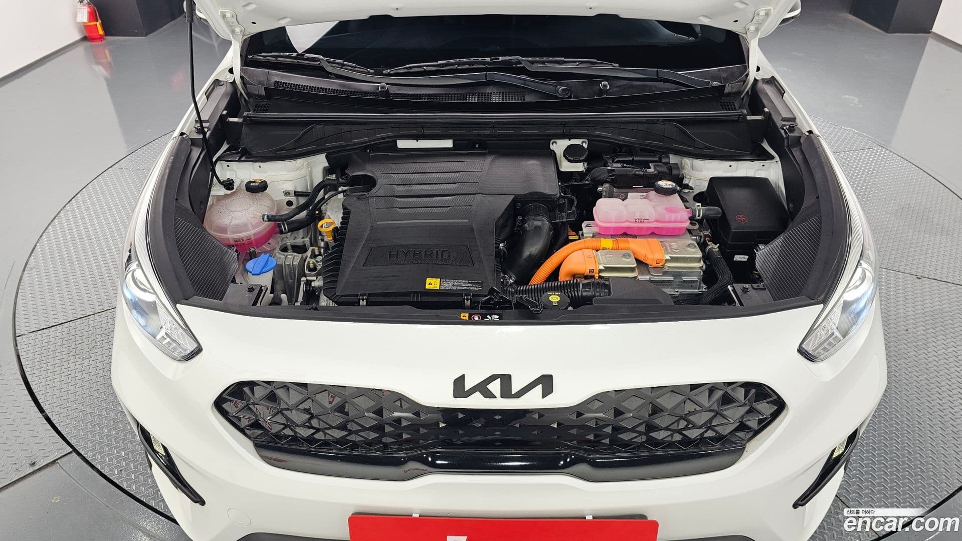 Main__Slider__Photo:Niro Kia 2021.10-5