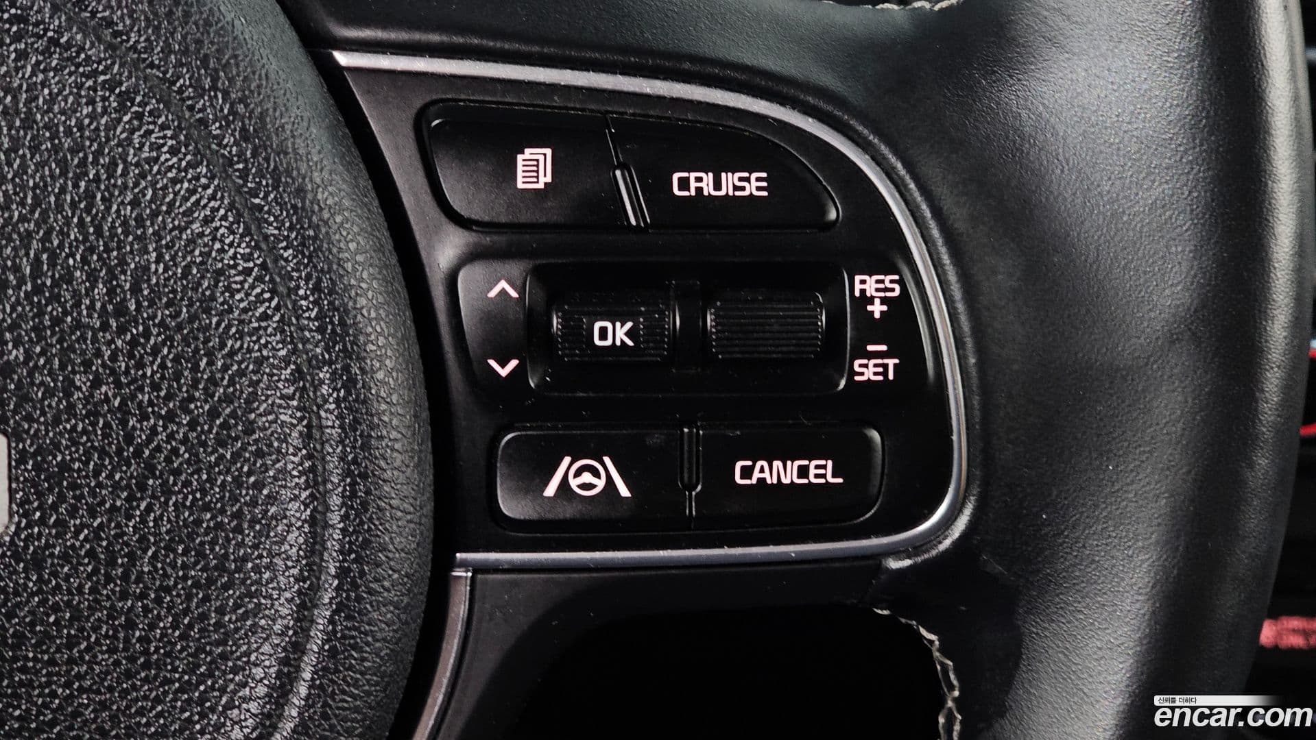 Main__Slider__Photo:Niro Kia 2021.10-18