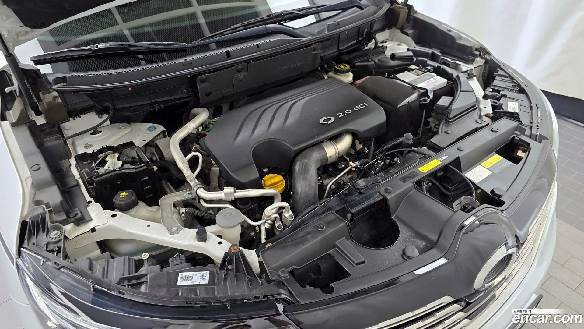 Main__Slider__Photo:QM6 Renault Korea 2019.7-5