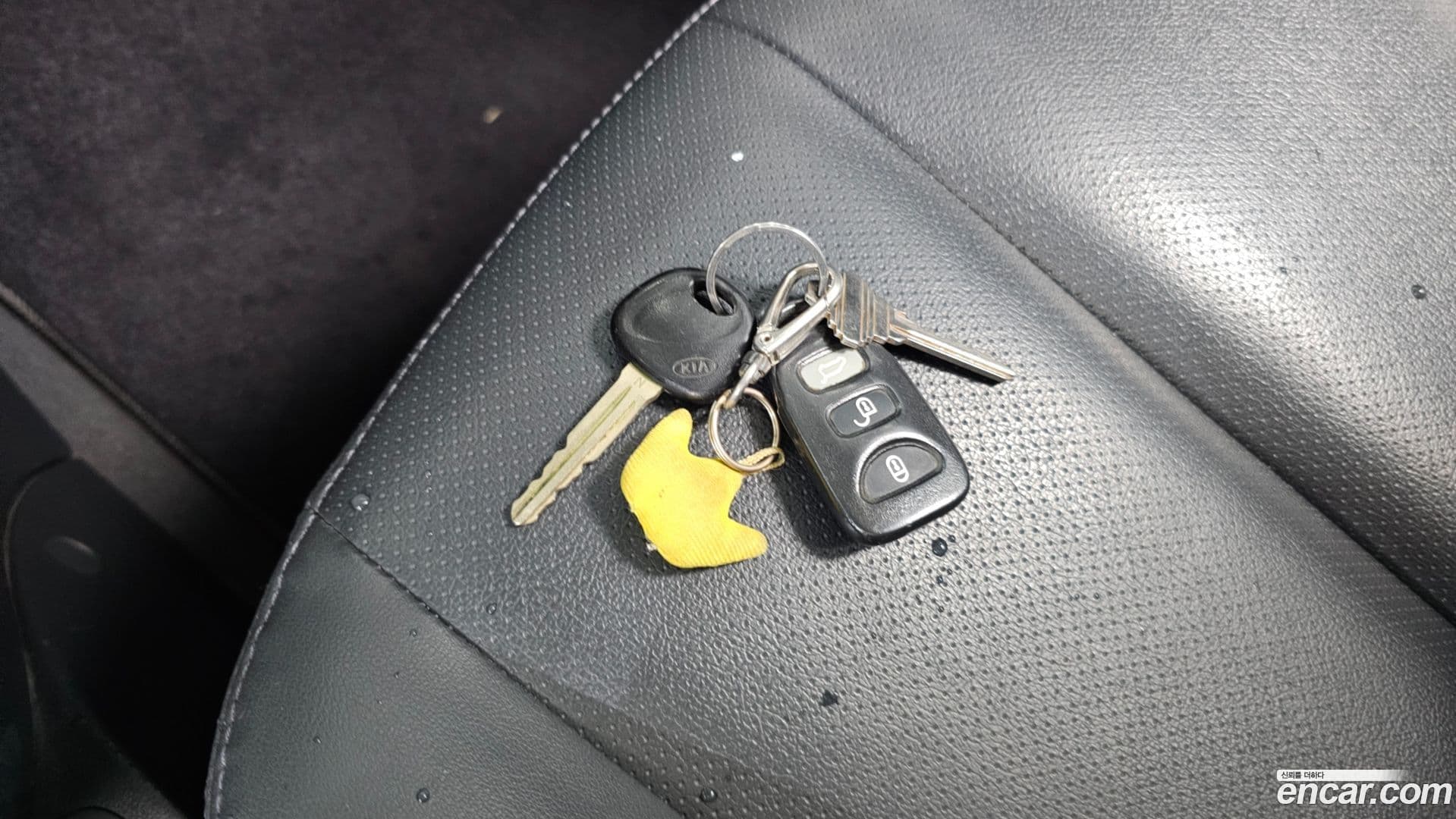 Main__Slider__Photo:Carens Kia 2009.4-17