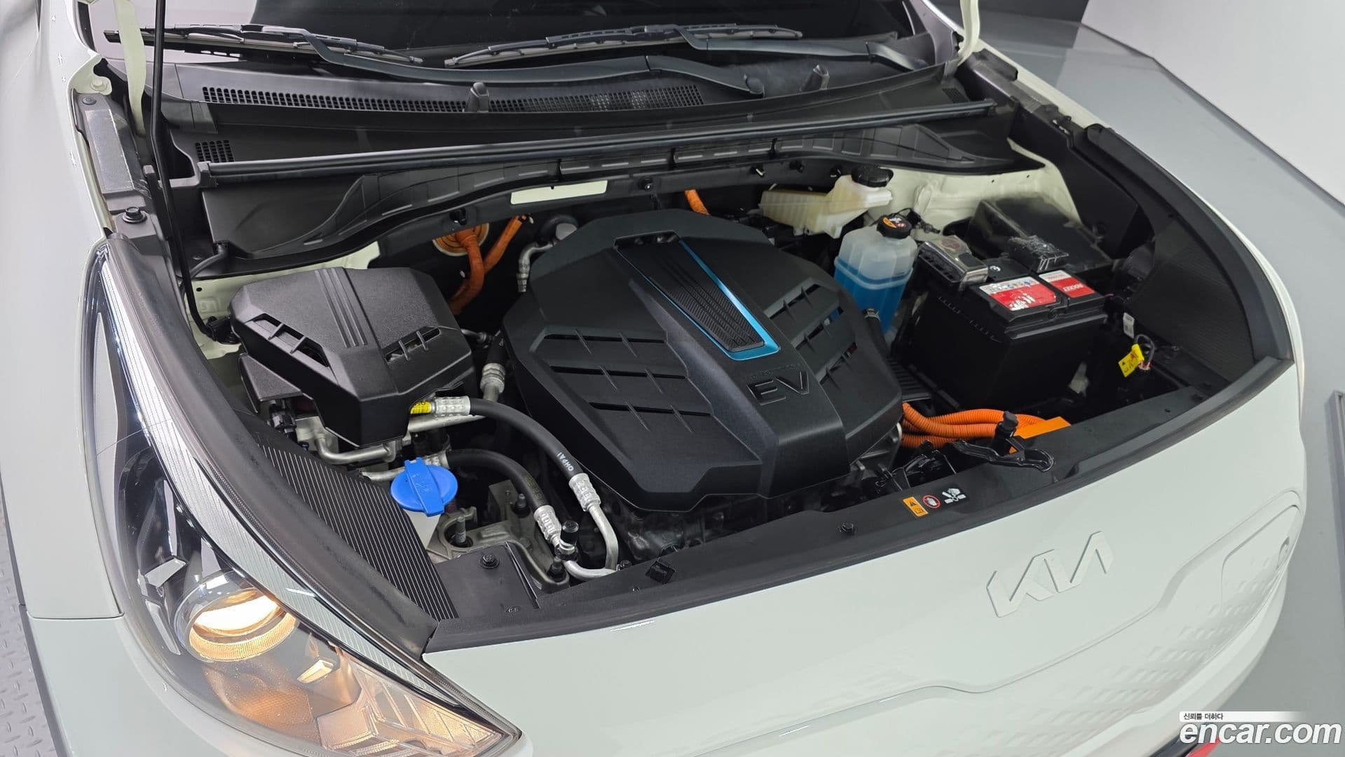 Main__Slider__Photo:Niro Kia 2021.8-5