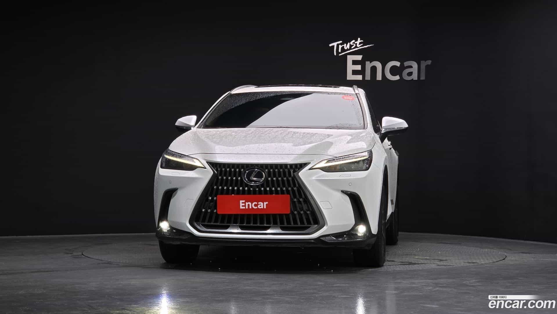 NX Lexus 2023.6-OUTER-003