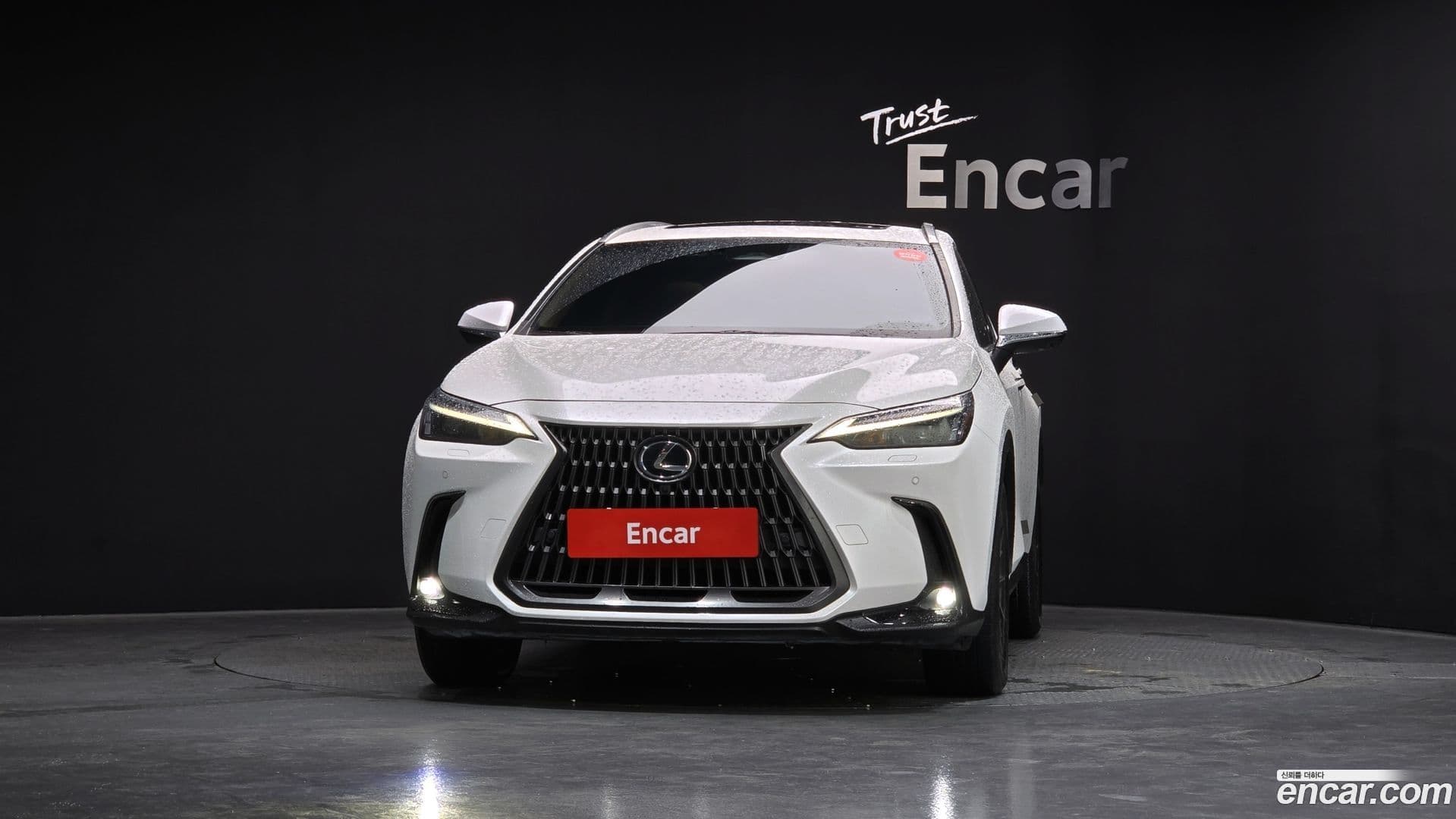 Main__Slider__Photo:NX Lexus 2023.6-2