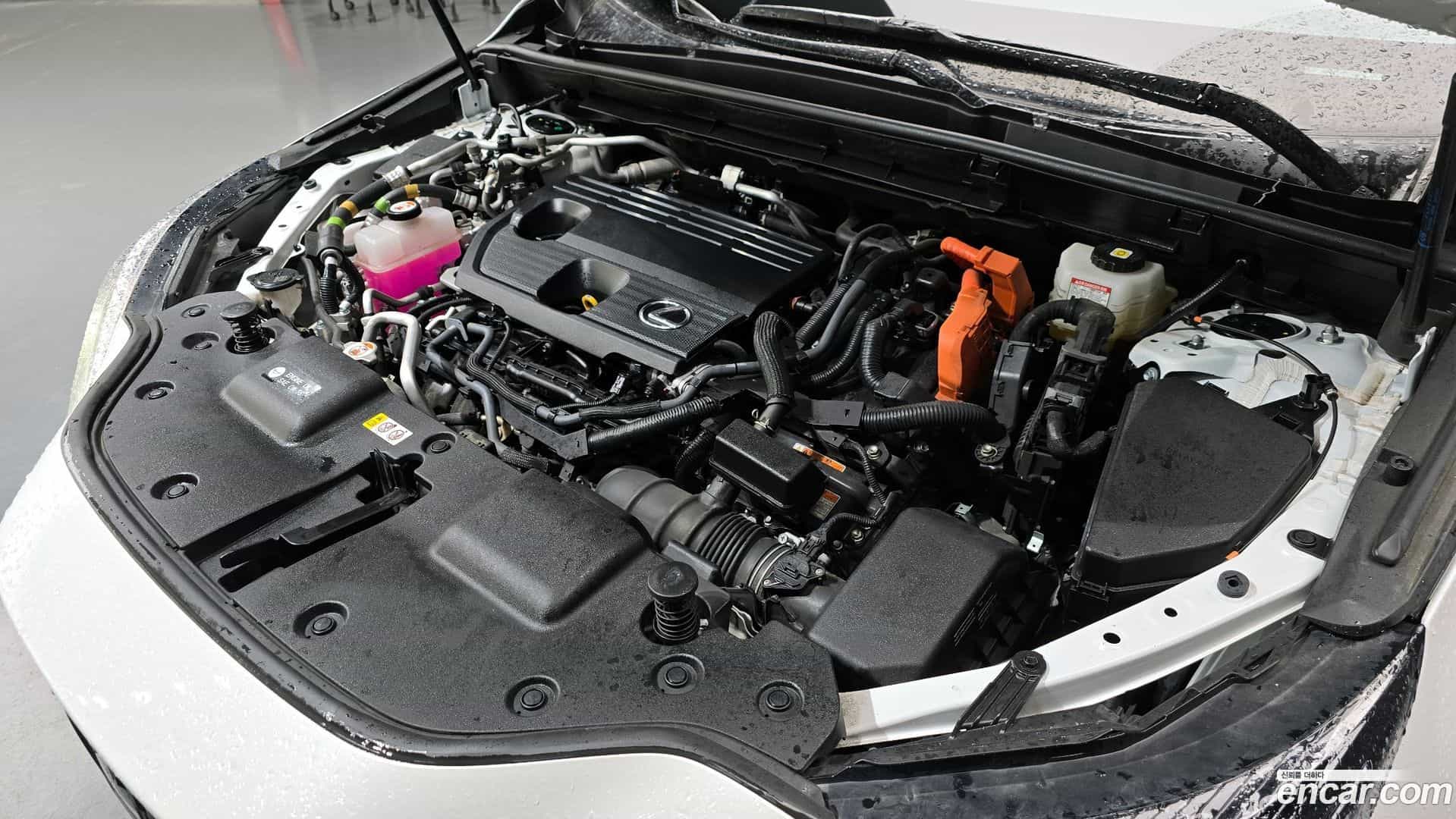 NX Lexus 2023.6-OUTER-006