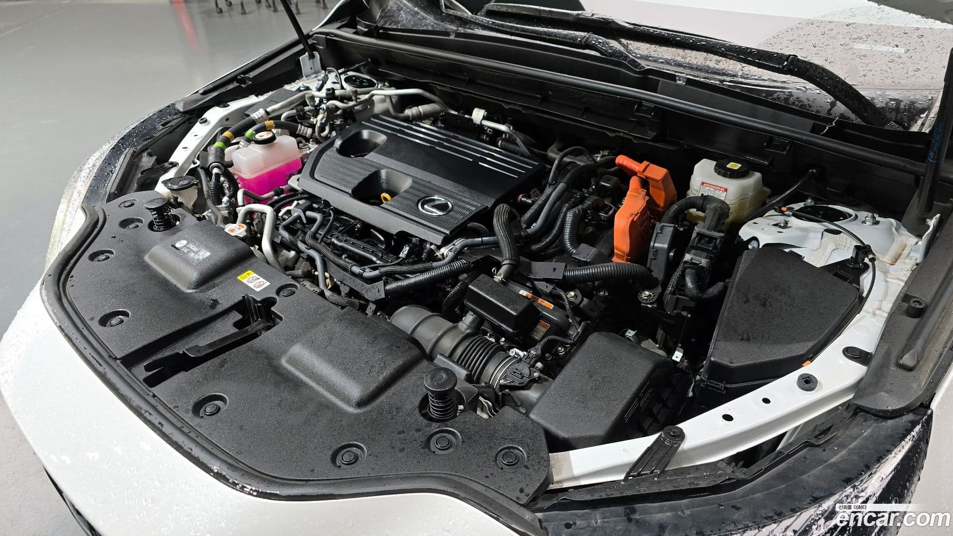 Main__Slider__Photo:NX Lexus 2023.6-5