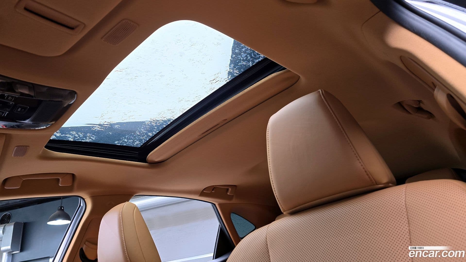 Main__Slider__Photo:NX Lexus 2023.6-17