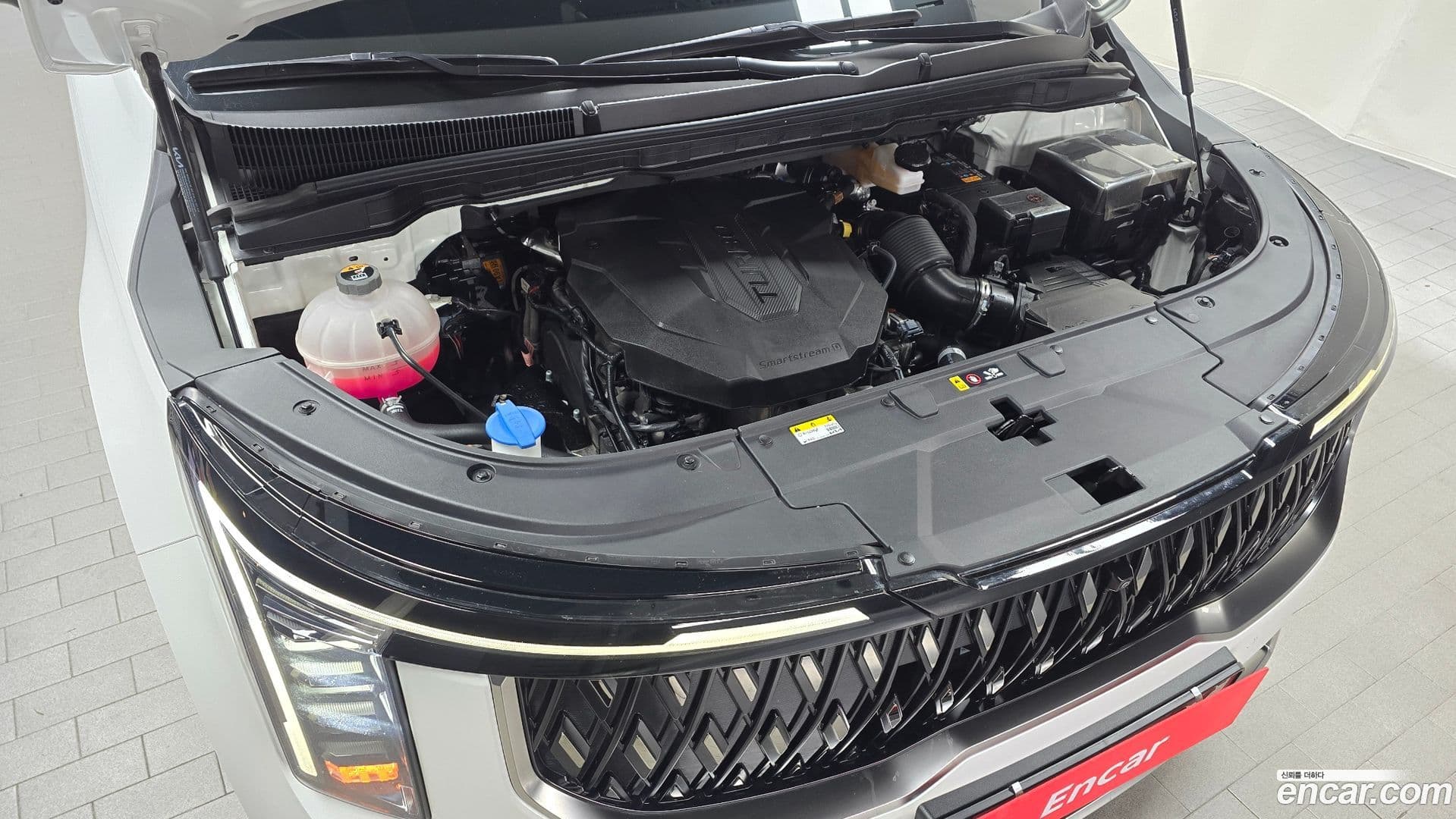 Main__Slider__Photo:Canival Kia 2024.4-5