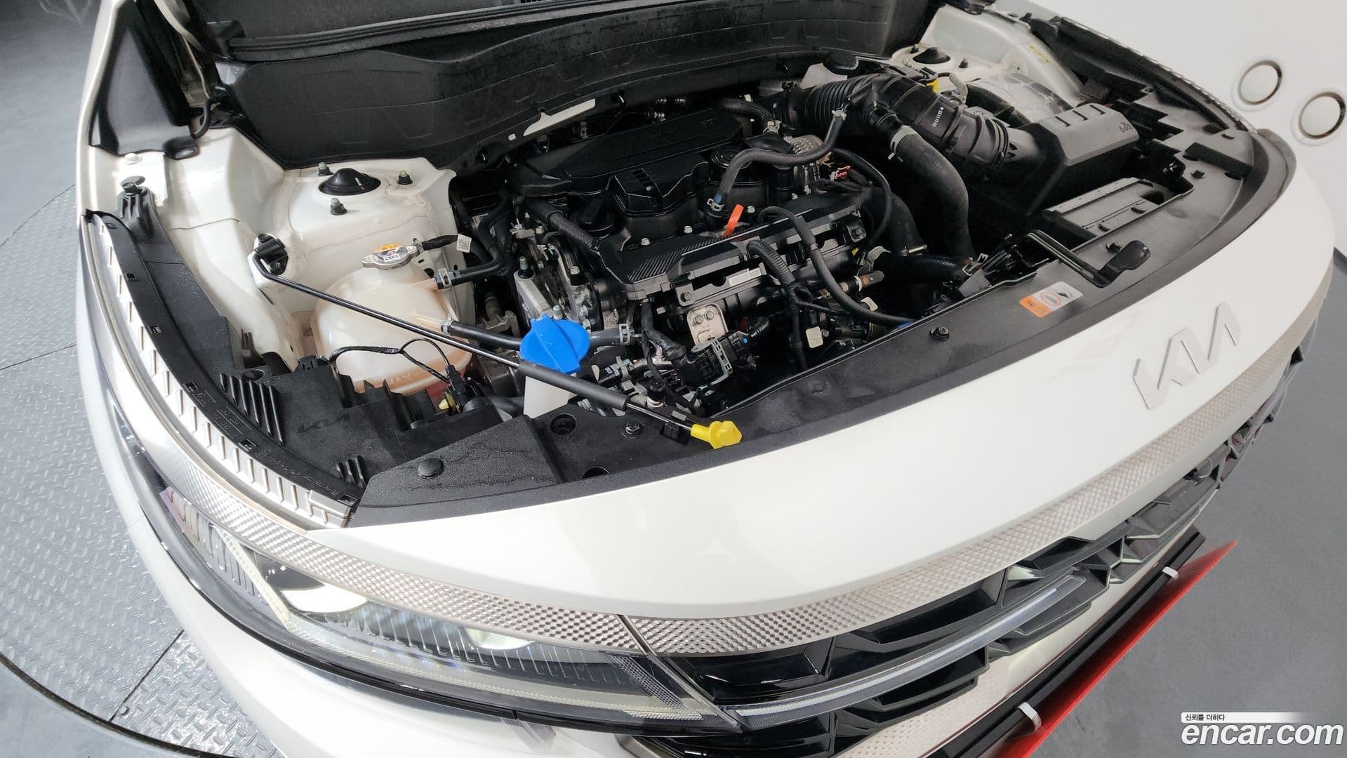 Main__Slider__Photo:Seltos Kia 2023.11-5