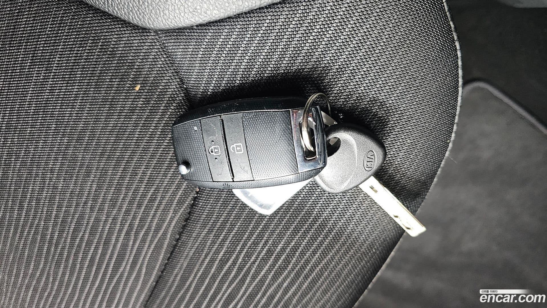 Main__Slider__Photo:RAY Kia 2021.7-18