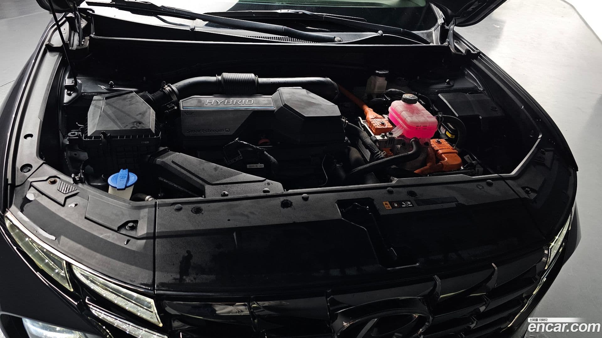 Main__Slider__Photo:Tucson Hyundai 2021.10-5