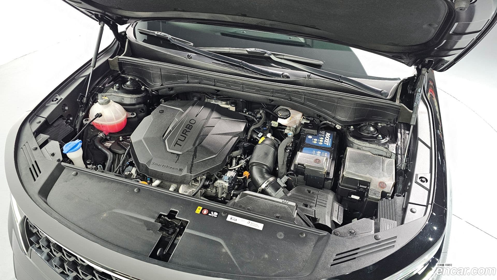 Main__Slider__Photo:Sorento Kia 2021.11-5