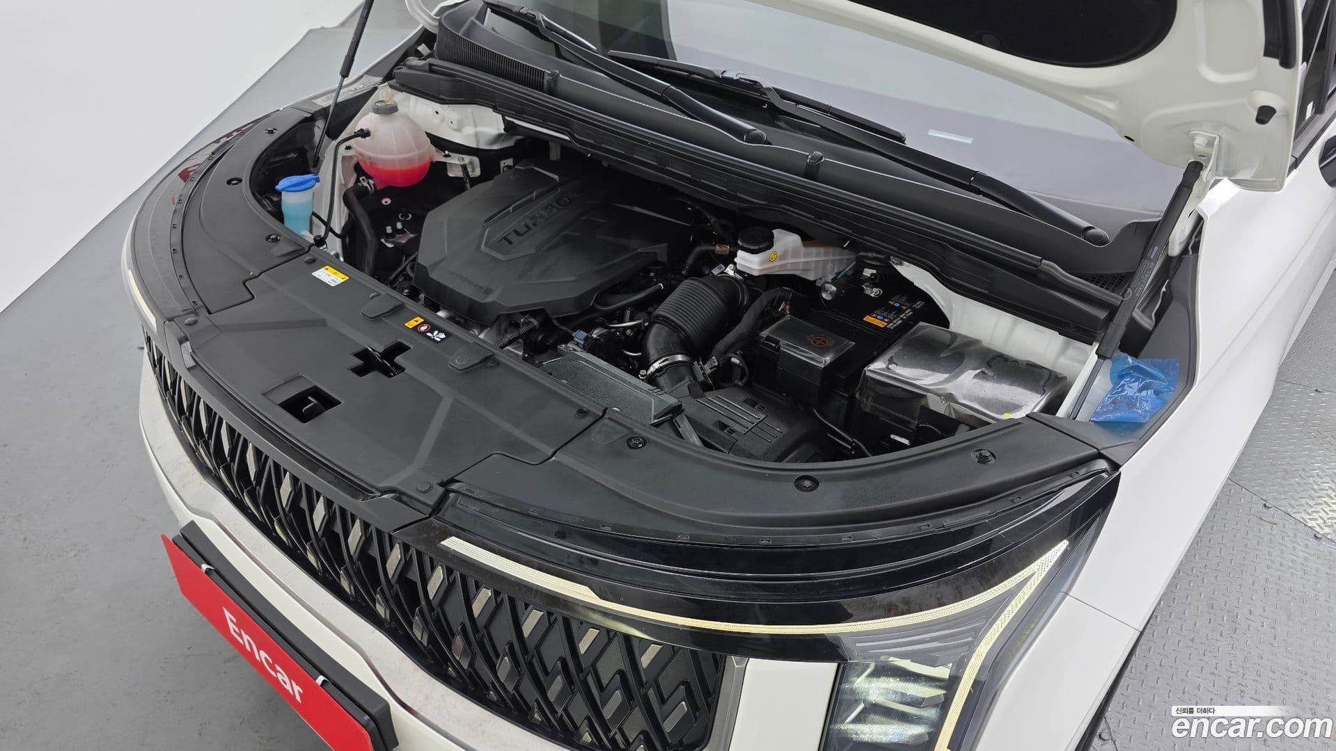 Main__Slider__Photo:Canival Kia 2024.2-5