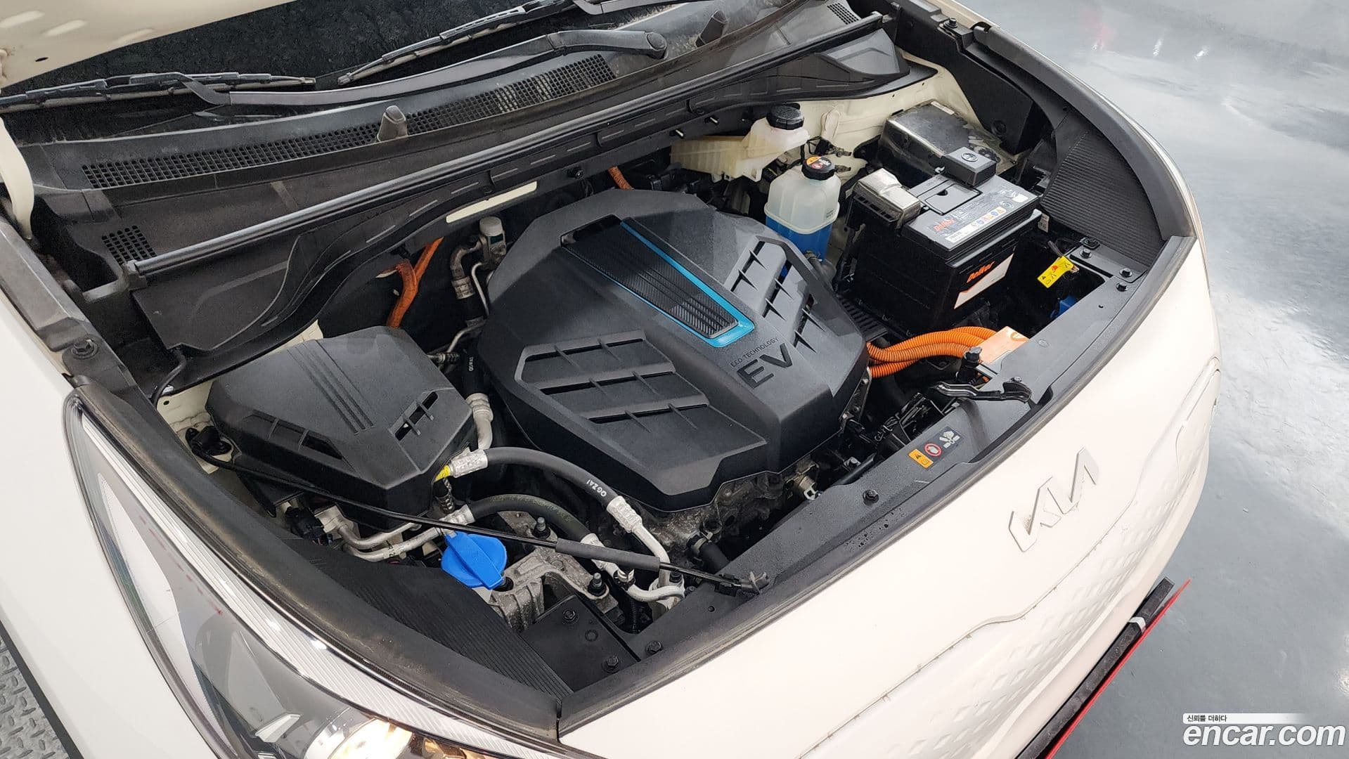 Main__Slider__Photo:Niro Kia 2021.7-5