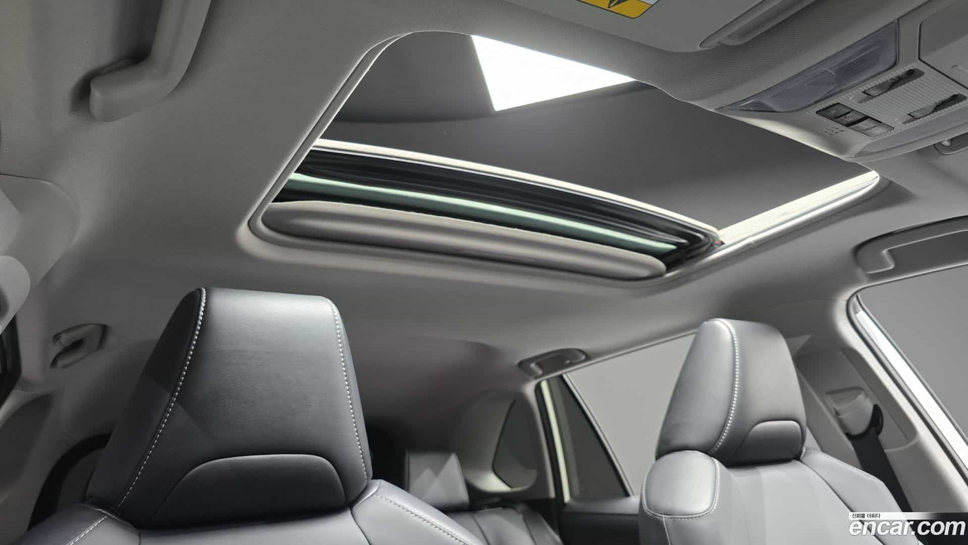 RAV4 Toyota 2021.3-OPTION-023