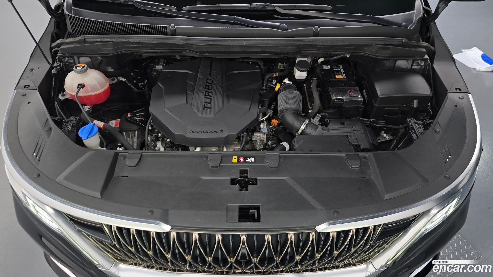 Main__Slider__Photo:Canival Kia 2021.0-5