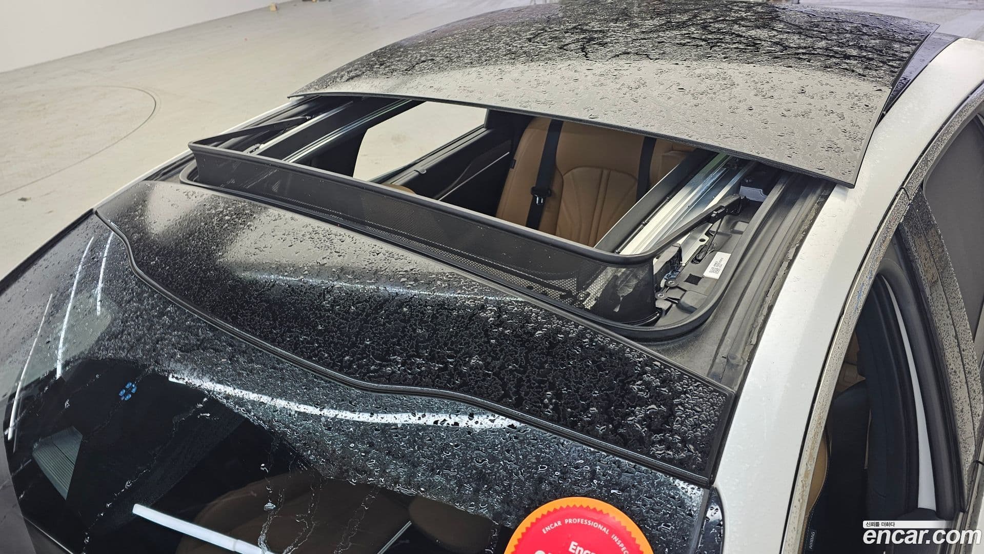 Main__Slider__Photo:K5 Kia 2022.1-18