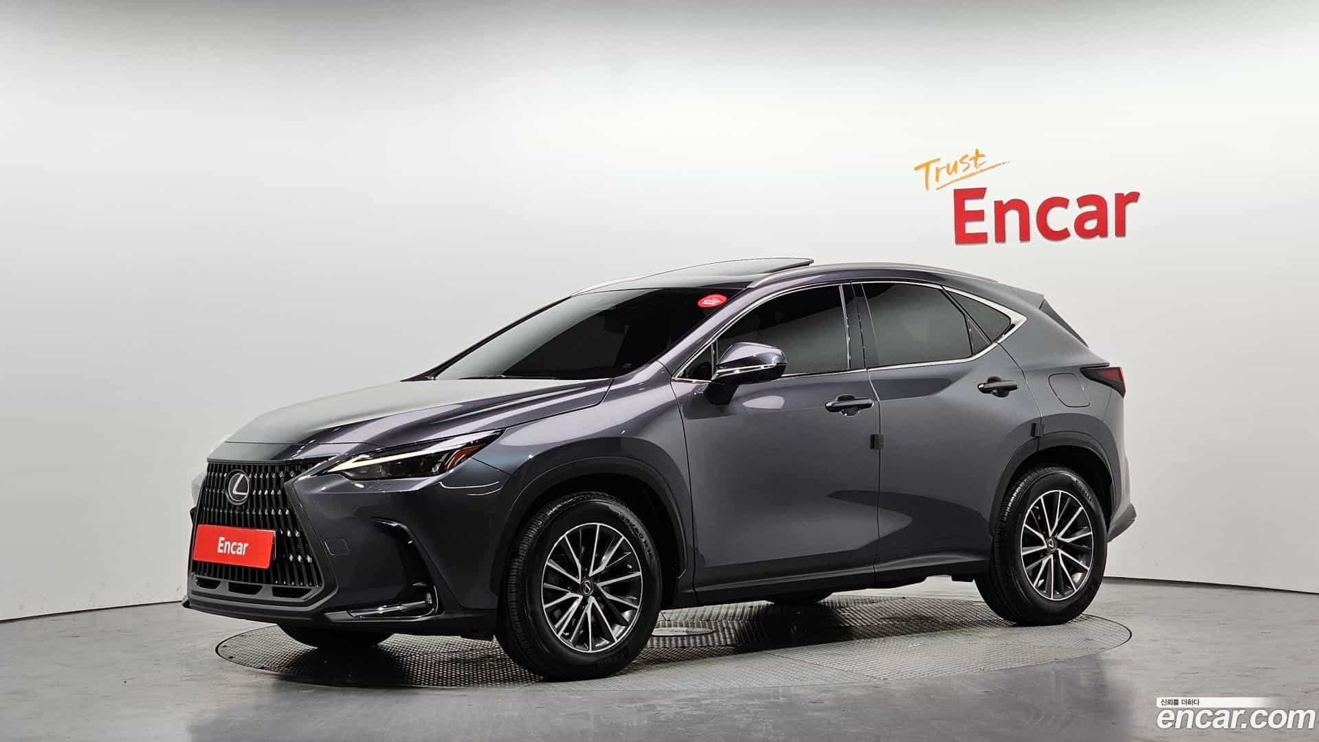 NX Lexus 2022.6-OUTER-001