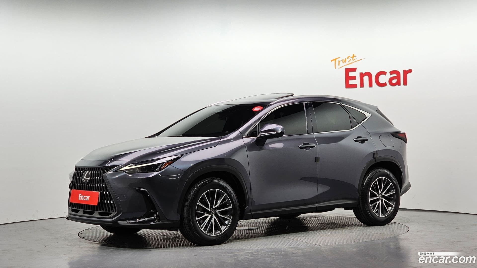 Main__Slider__Photo:NX Lexus 2022.6-0