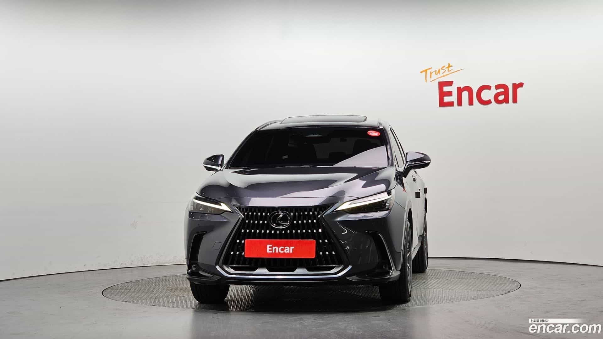 NX Lexus 2022.6-OUTER-003