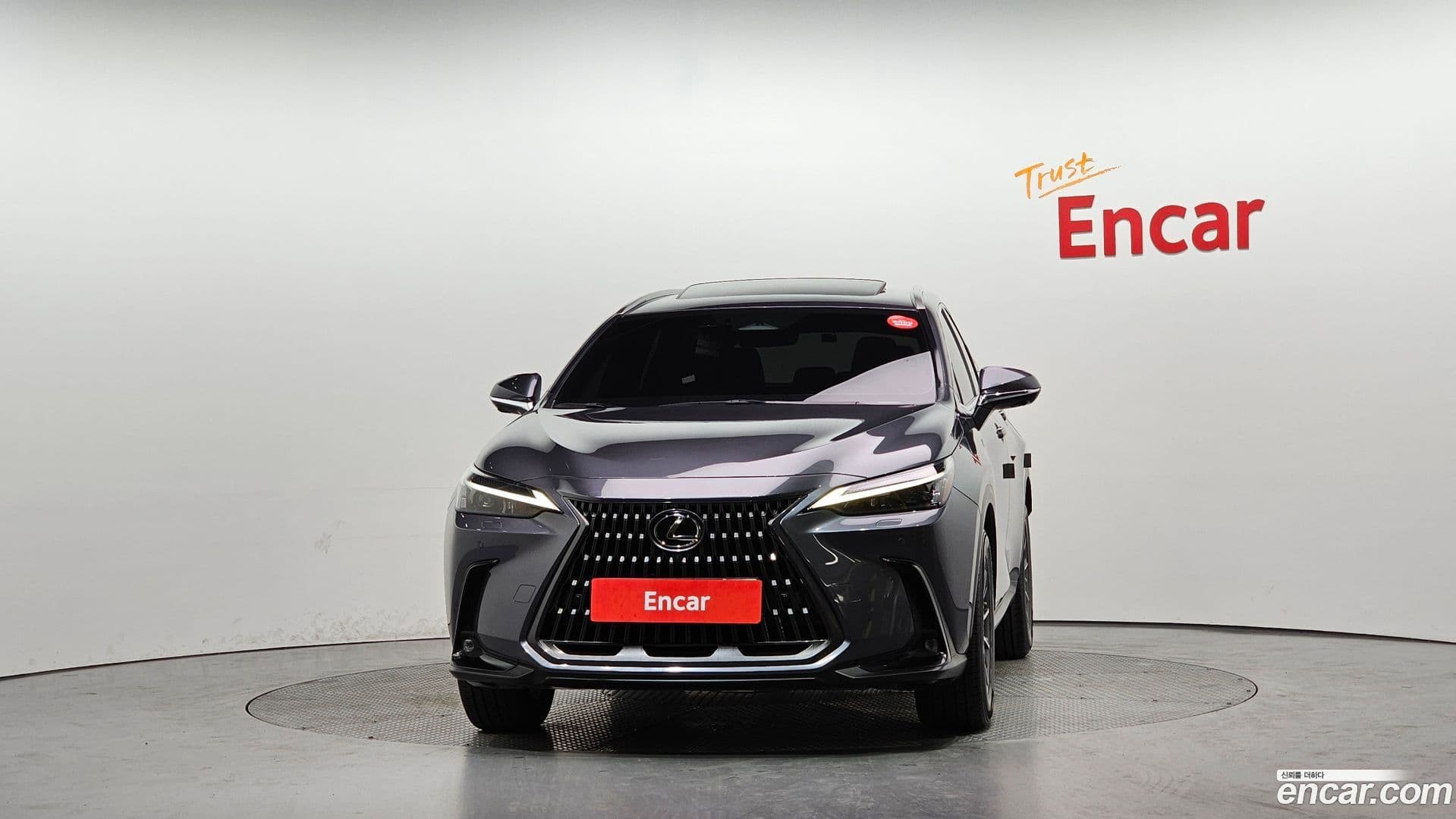 Main__Slider__Photo:NX Lexus 2022.6-2