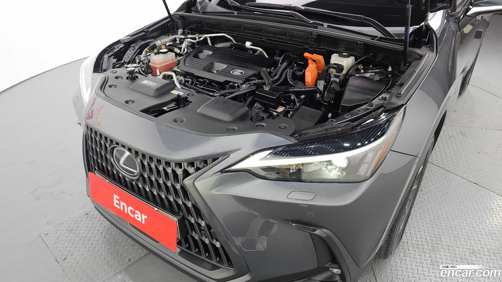 NX Lexus 2022.6-INNER-006