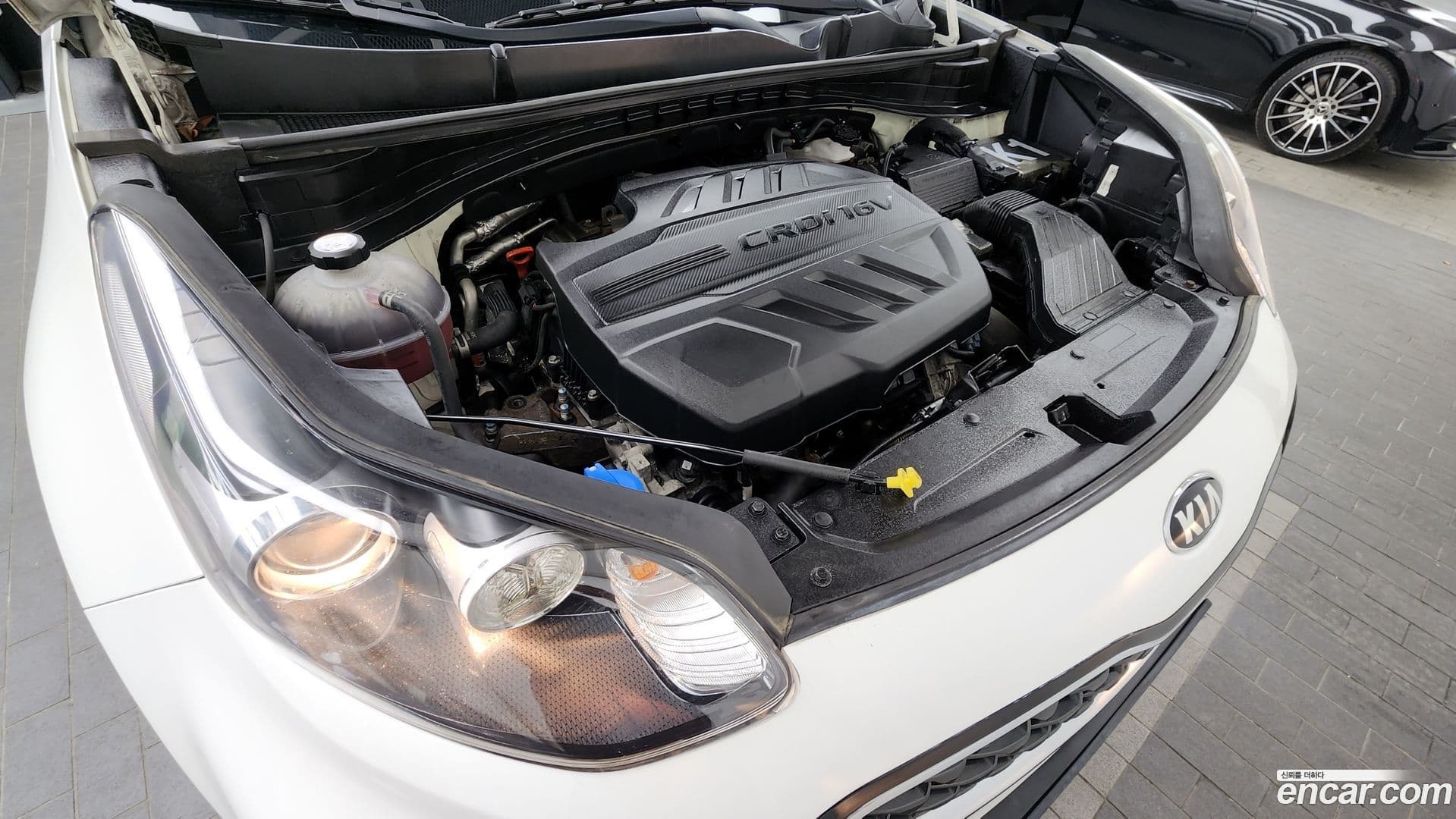 Main__Slider__Photo:Sportage Kia 2020.11-5