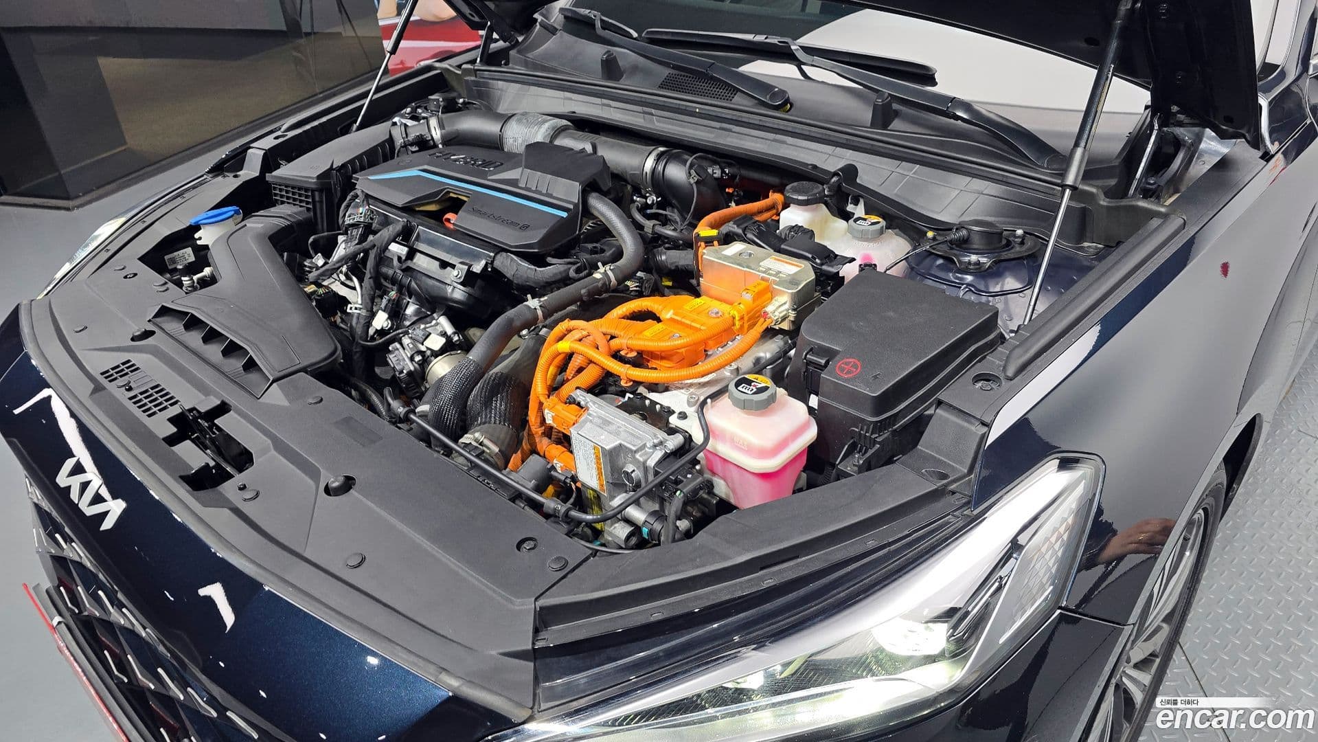 Main__Slider__Photo:K8 Kia 2021.6-5