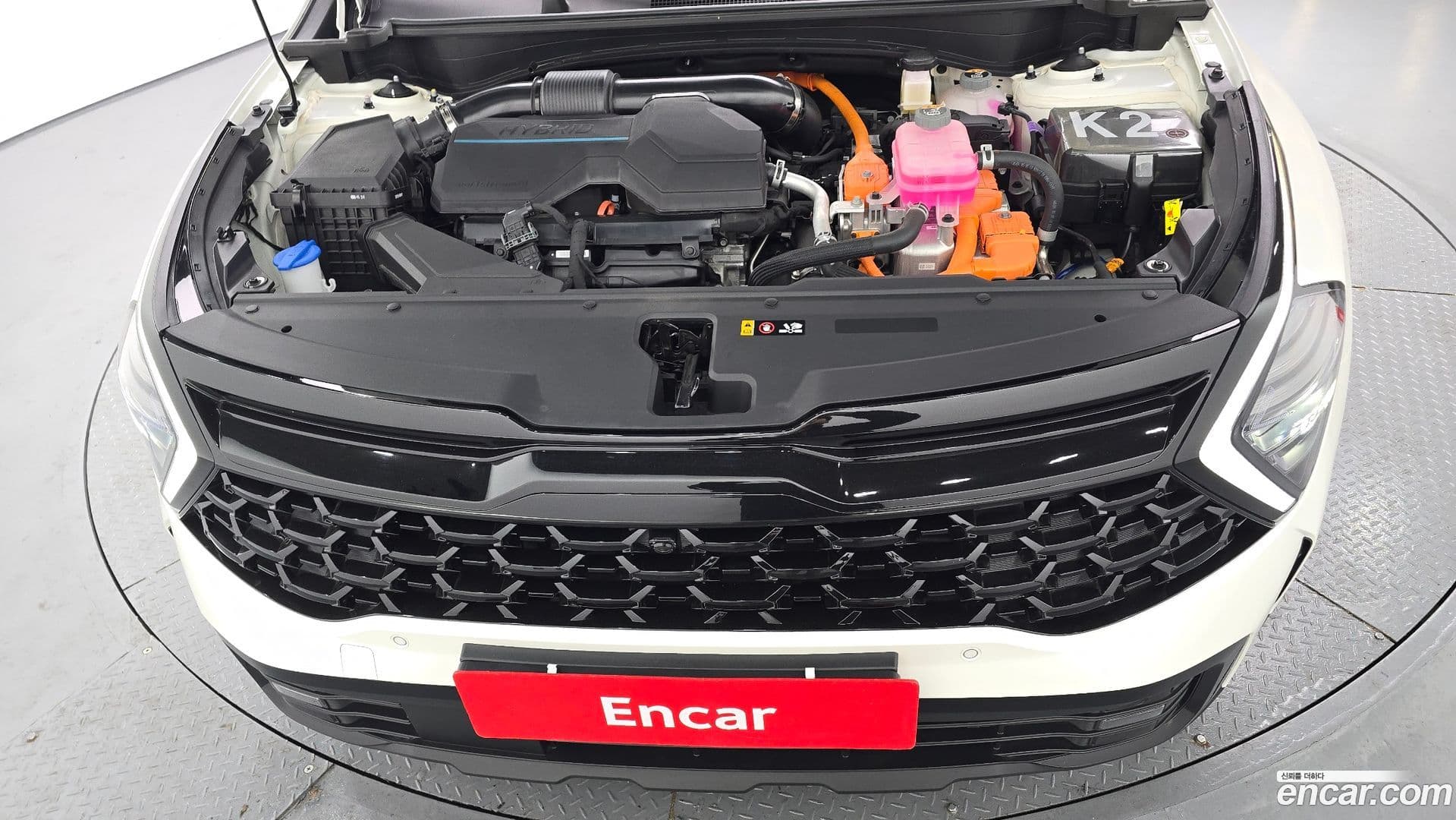 Main__Slider__Photo:Sportage Kia 2023.11-5