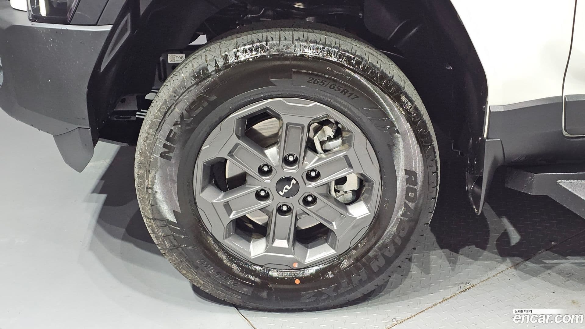 Main__Slider__Photo:Tasman Kia 2025.9-4