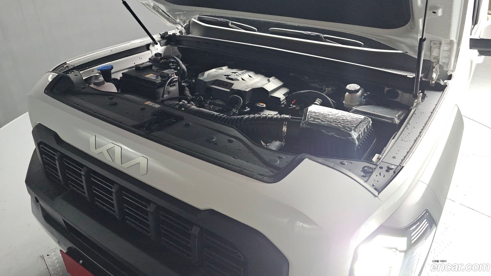 Main__Slider__Photo:Tasman Kia 2025.9-5