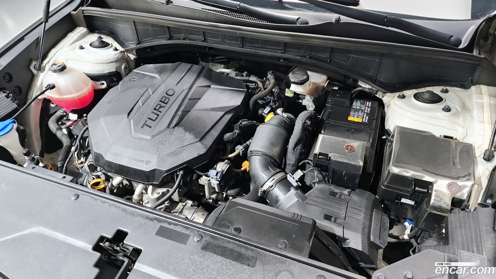 Main__Slider__Photo:Sorento Kia 2021.11-5