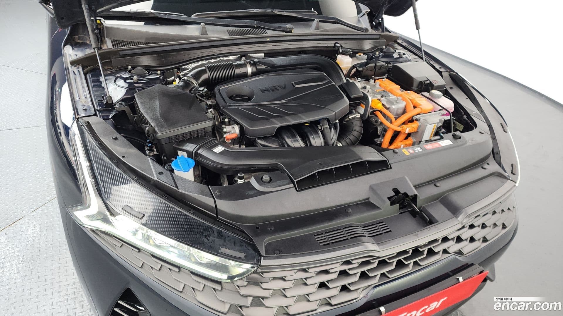 Main__Slider__Photo:K5 Kia 2020.9-5