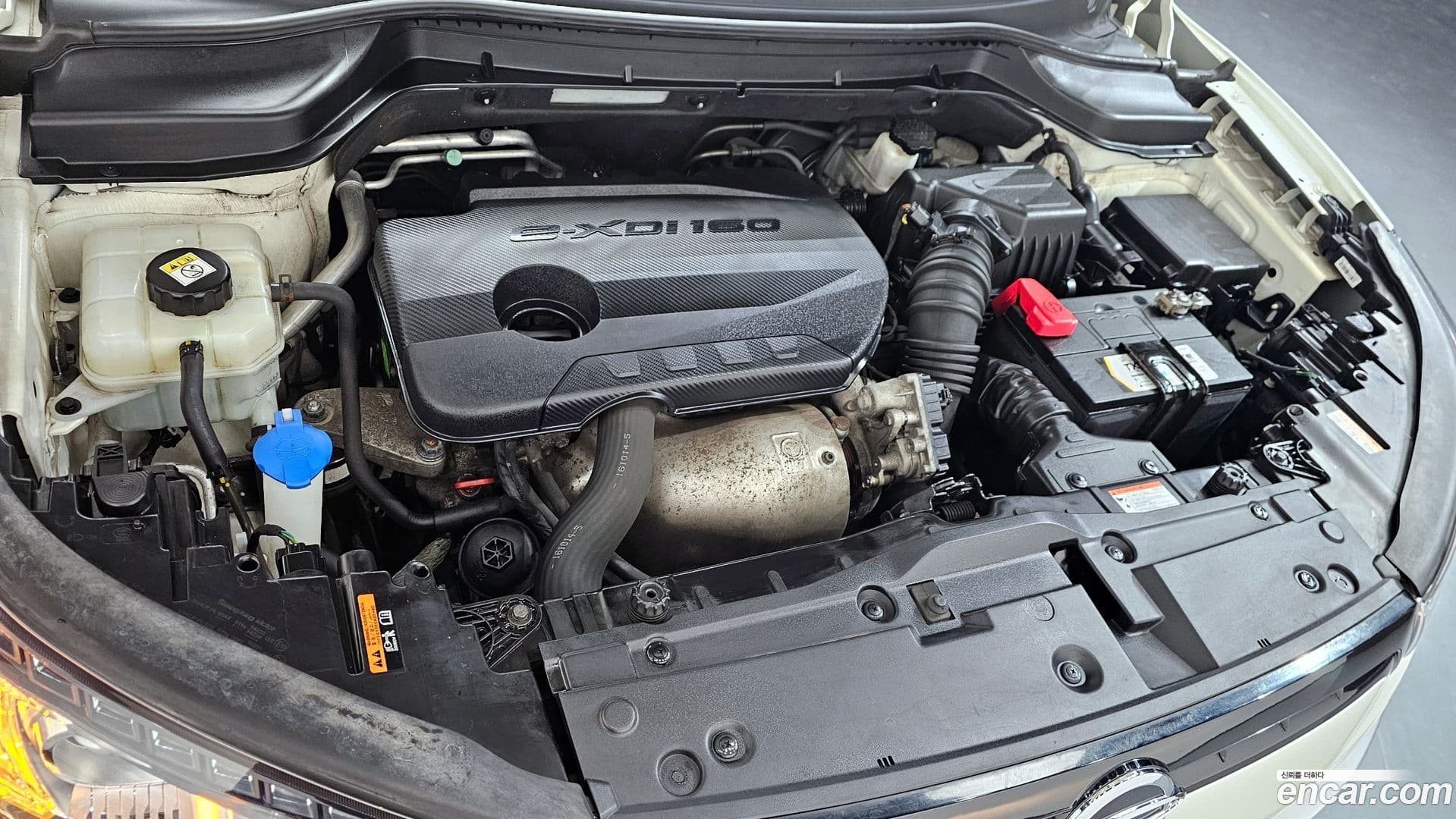 Main__Slider__Photo:TIBOLI KG_Mobility_Ssangyong 2016.10-5