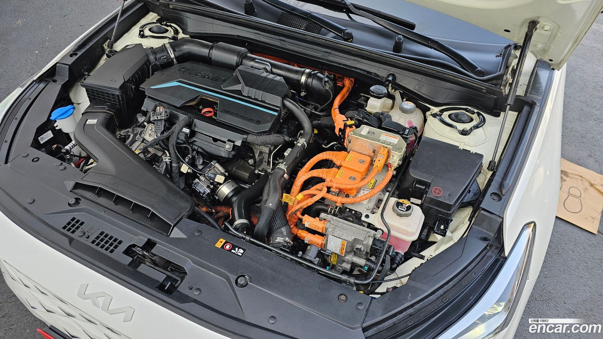 Main__Slider__Photo:K8 Kia 2022.7-5