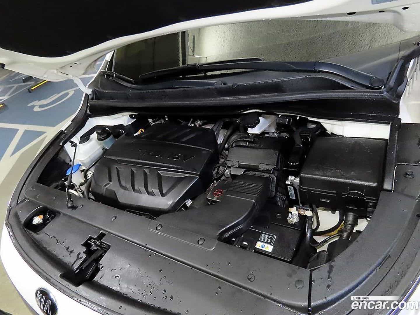 Canival Kia 2020.1-OPTION-023