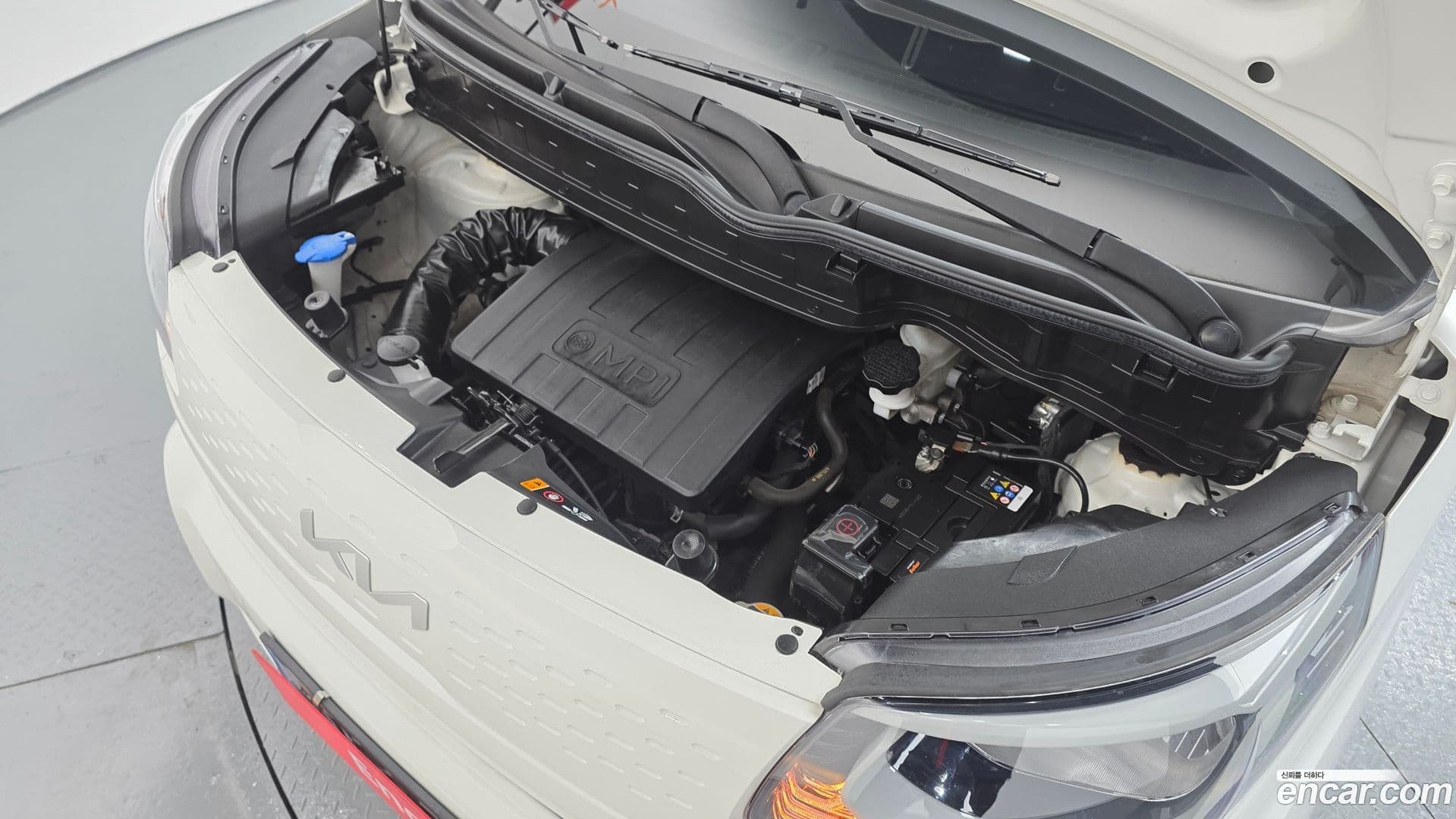 Main__Slider__Photo:RAY Kia 2022.5-5