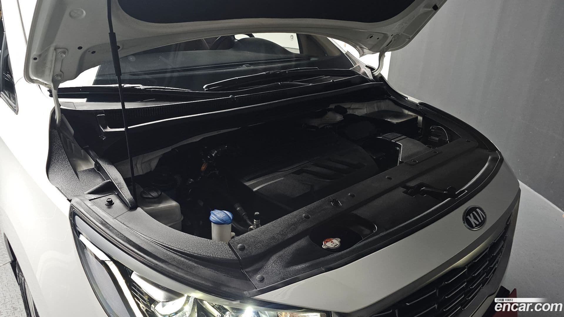 Main__Slider__Photo:Canival Kia 2020.0-5