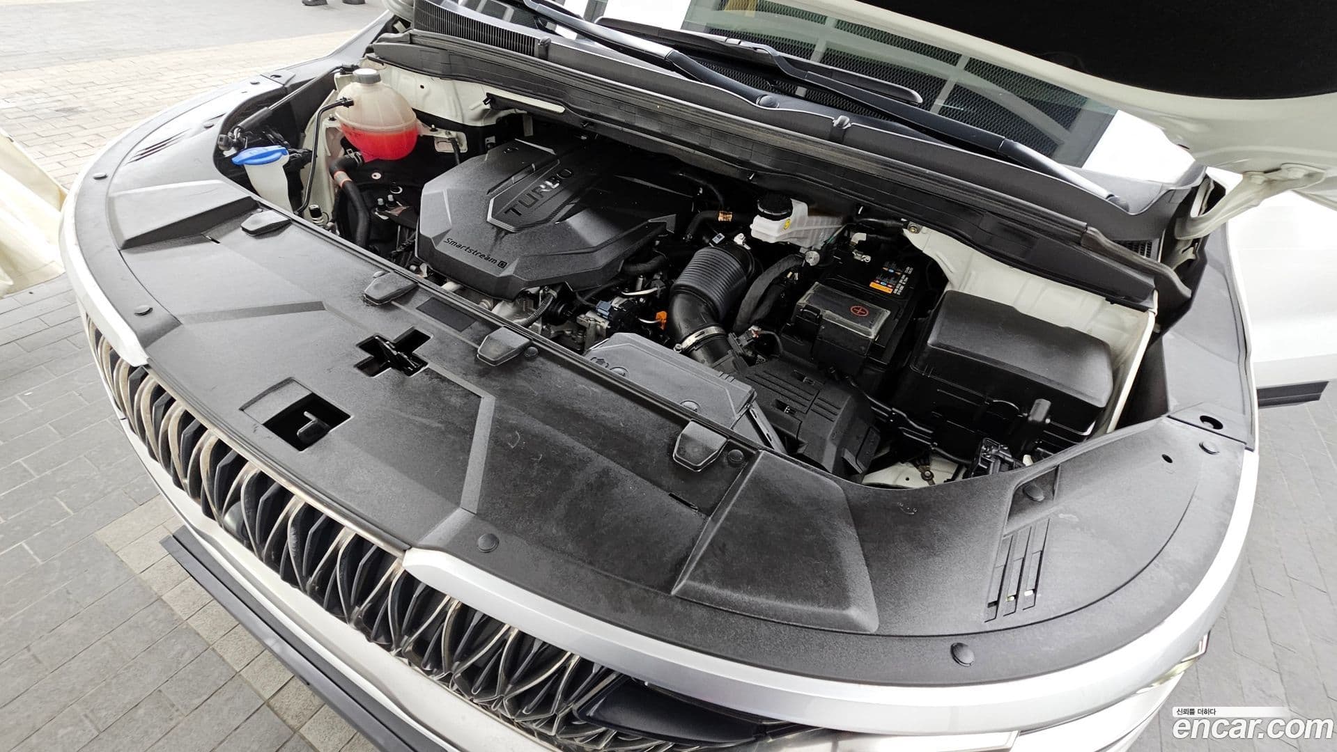 Main__Slider__Photo:Canival Kia 2021.11-5