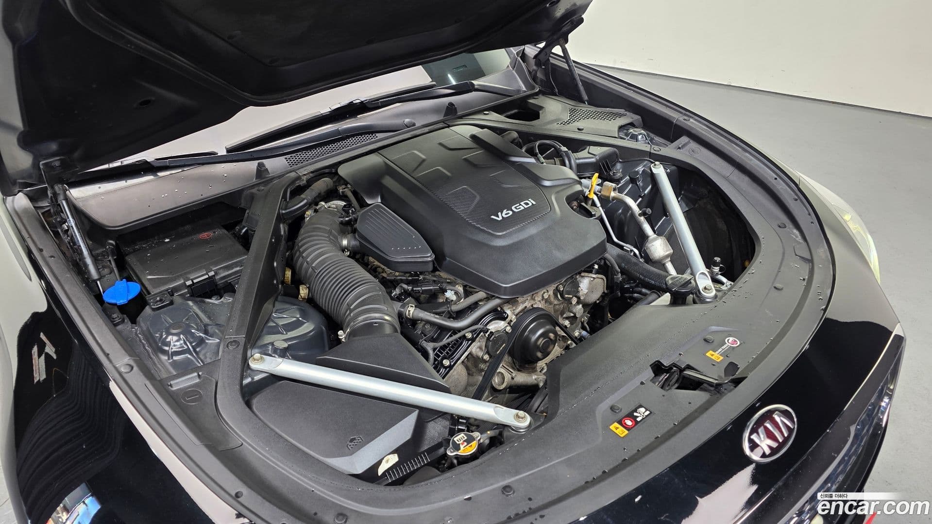 Main__Slider__Photo:K9 Kia 2019.3-5