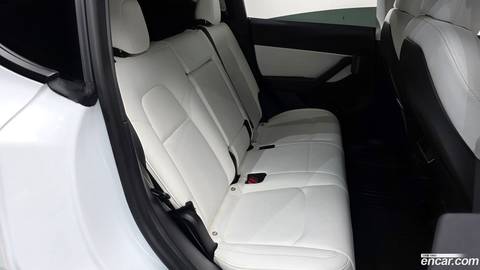 Main__Slider__Photo:Model Y Tesla 2021.5-11