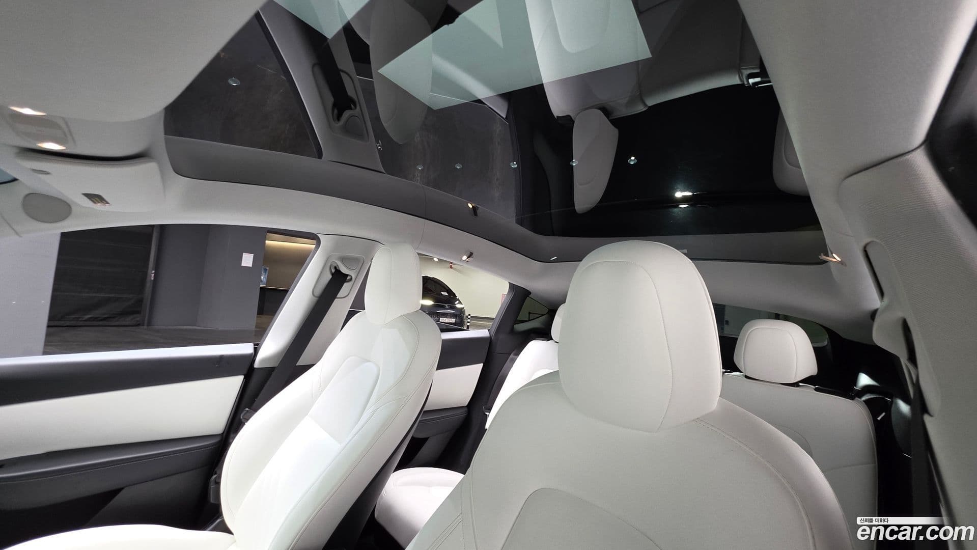 Main__Slider__Photo:Model Y Tesla 2021.5-18